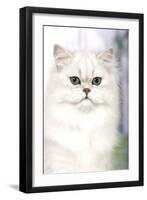 Persian Chinchilla-null-Framed Photographic Print