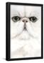 Essential Black