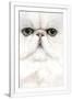 Gramercy White