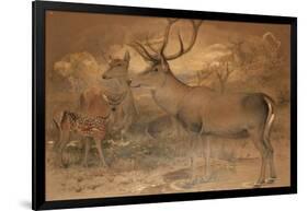 Persian Deer-Joseph Wolf-Framed Giclee Print