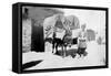 Persian Donkey Transport, Baghdad, Iraq, 1917-1919-null-Framed Stretched Canvas