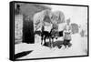 Persian Donkey Transport, Baghdad, Iraq, 1917-1919-null-Framed Stretched Canvas