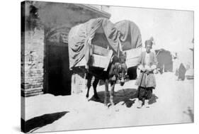 Persian Donkey Transport, Baghdad, Iraq, 1917-1919-null-Stretched Canvas