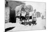Persian Donkey Transport, Baghdad, Iraq, 1917-1919-null-Mounted Giclee Print