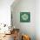 Persian Emerald II-Lanie Loreth-Framed Stretched Canvas displayed on a wall