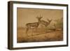 Persian Gazelle-Joseph Wolf-Framed Giclee Print