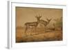 Persian Gazelle-Joseph Wolf-Framed Giclee Print