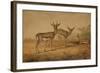 Persian Gazelle-Joseph Wolf-Framed Giclee Print