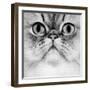 Persian Golden Shaded Black and White-null-Framed Photographic Print