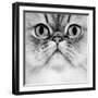 Persian Golden Shaded Black and White-null-Framed Photographic Print