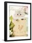 Persian Kitten in Pot-null-Framed Photographic Print