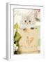 Persian Kitten in Pot-null-Framed Photographic Print