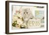 Persian Kitten-null-Framed Photographic Print