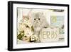 Persian Kitten-null-Framed Photographic Print