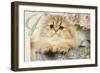 Persian Kitten-null-Framed Photographic Print