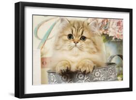 Persian Kitten-null-Framed Photographic Print