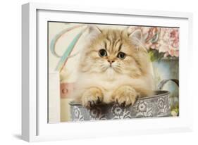 Persian Kitten-null-Framed Photographic Print