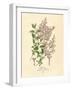 Persian Lilac Vintage Flowers-null-Framed Art Print