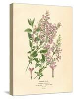 Persian Lilac Vintage Flowers-null-Stretched Canvas