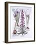 Persian Lily and Irises, from 'Hortus Eystettensis', by Basil Besler (1561-1629), Pub. 1613 (Hand C-German School-Framed Giclee Print