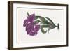 Persian Ornament-null-Framed Giclee Print