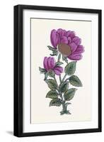 Persian Ornament-null-Framed Giclee Print