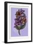 Persian Ornament-null-Framed Giclee Print