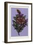 Persian Ornament-null-Framed Giclee Print