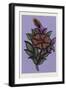 Persian Ornament-null-Framed Giclee Print