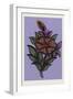 Persian Ornament-null-Framed Giclee Print