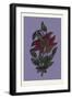 Persian Ornament-null-Framed Giclee Print