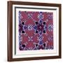 Persian Ornament-null-Framed Giclee Print