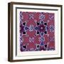 Persian Ornament-null-Framed Giclee Print