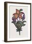 Persian Ornament-null-Framed Giclee Print