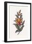 Persian Ornament-null-Framed Giclee Print