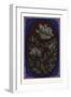 Persian Ornament-null-Framed Premium Giclee Print