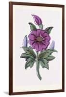 Persian Ornament-null-Framed Giclee Print