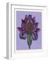 Persian Ornament-null-Framed Giclee Print