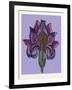 Persian Ornament-null-Framed Giclee Print