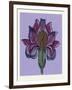 Persian Ornament-null-Framed Giclee Print