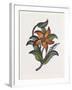 Persian Ornament-null-Framed Giclee Print