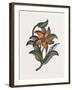 Persian Ornament-null-Framed Giclee Print