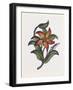 Persian Ornament-null-Framed Giclee Print