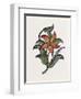 Persian Ornament-null-Framed Premium Giclee Print