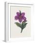 Persian Ornament-null-Framed Giclee Print