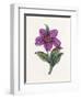 Persian Ornament-null-Framed Giclee Print