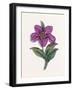 Persian Ornament-null-Framed Giclee Print