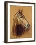 Persian Punch-Susan Crawford-Framed Limited Edition