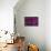 Persian Purple Rose-John Harper-Framed Stretched Canvas displayed on a wall