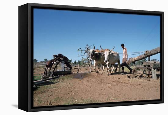 Persian Water Wheel, Rajasthan, India-Vivienne Sharp-Framed Stretched Canvas